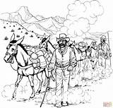 Coloring Pages Caravan Mule Forty Niner Donkeys Donkey Printable Rush Gold Popular Main Drawing Color Skip sketch template