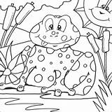 Colouring Frog Coloring sketch template