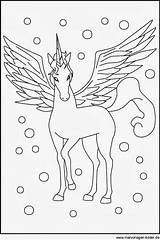 Malvorlagen Pegasus Einhorn Ausdrucken Malvorlage Gratis Malen Pferd Feen Erwachsene Drucken Pferde Elfen Malvorlagengratis Flügel Besuchen Kostenlosen sketch template