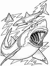 Fish Realistic Drawing Coloring Pages Getdrawings sketch template