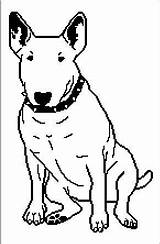 Bull Terrier Bullterrier Graphghan Designlooter sketch template