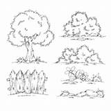 Coloring Shrubbery Shrubs Template Pages sketch template