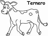 Ternero Ternera Pretende Motivo Bw sketch template