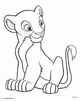 Baby Lion Coloring Pages Simba Getcolorings Color sketch template