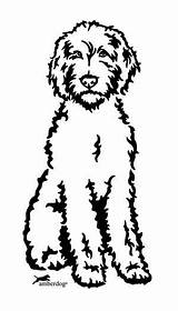 Goldendoodle Coloring sketch template