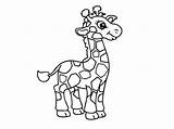 Giraffe Coloring sketch template