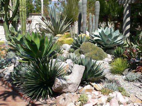 cactus succulent garden  sherman gardens echoes