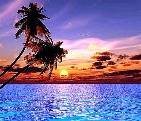 sunset background wallpaper hd nature water beach sunset wallpapers