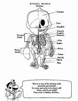 Coloring Anatomy Pages Kids Book Mario Human Medical Getcolorings Doctor Muscle Skeleton Skeletal Anatomical Printable Marios Getdrawings Color System Colorings sketch template