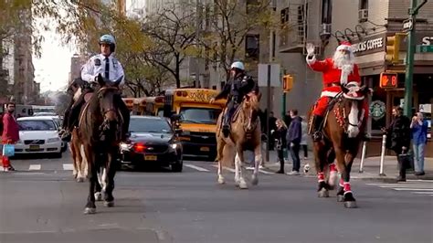 nypds mounted unit prepares   years eve  times square news  gossip