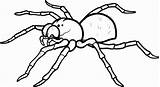 Coloring Pages Printable Spider Getcolorings Spiders sketch template