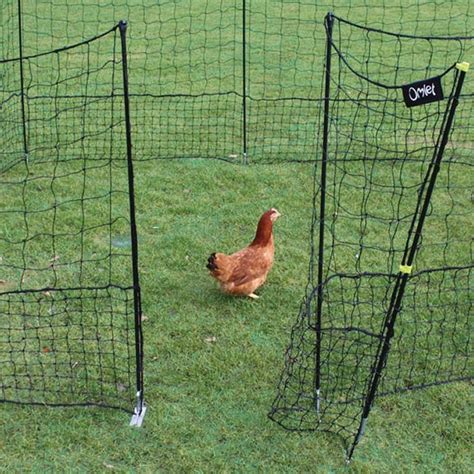 flexible chicken fencing  gate harrod horticultural