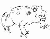Mewarnai Katak Frosch Pemandangan Ranas Sapos Bonikids Menggambar Komik Binatang Seite Chachipedia sketch template
