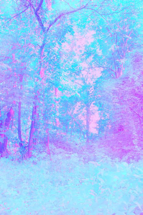 Blue Bright Forest Light Pastel Image 422835 On