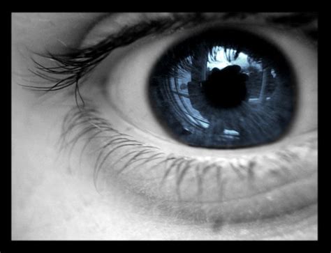 good   eyesight     infective dose marler blog