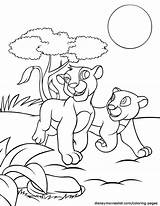 Coloring Lion Pages King Simba Nala Disney Printable Kids Silhouette Getcolorings Color Disneychannel Tree Getdrawings Popular Print Sparad Från Disneymovieslist sketch template