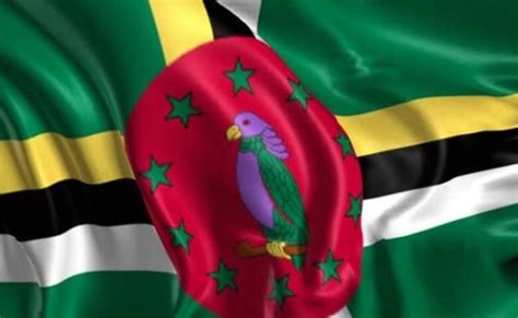 Know About The Different Schemes Of The Dominica Citizenship Investment