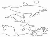 Dolphin Coloring Pages Print Kids Printable sketch template
