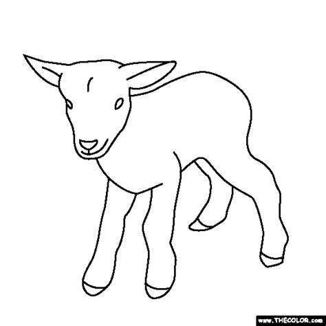 baby animals  coloring pages