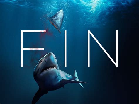 fin  reviews