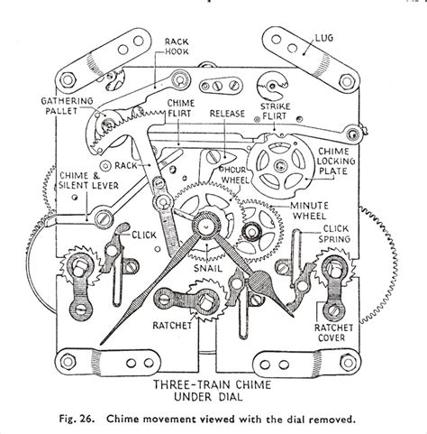 regula  movement parts diagram general wiring diagram
