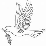 Dove Olive Branch Outline Embroidery Drawing Flickr Peace Christmas Coloring Patterns Pages Redwork Designs Cute Hand Bird Artex Set Getdrawings sketch template