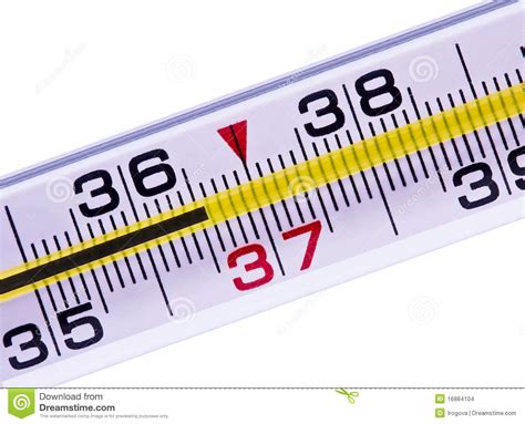 thermometer of a body normal temperature stock images image 16884104