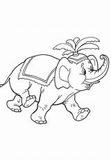 Coloring Elephants Print Kids Pages sketch template