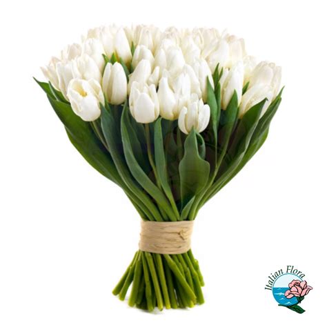 mazzo  tulipani bianchi fiori  vendita  consegna fiori