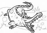 Crocodil Colorat Planse Imagini Desene Etichete sketch template