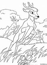 Bambi Coloring Pages Deer Faon Dessin Colorier Coloriage Baby Biche Cute Color Disney Printable Book Print Kids Getcolorings Imprimer Bambi2 sketch template
