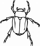 Beetle Outline Beatle Scarab Clker Germs Bugs Webstockreview sketch template