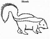 Skunk Skunks Colorat Planse Embroidery Animalstown sketch template