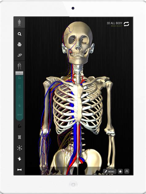 anatomy app gives users a better understanding of the human body the japan times