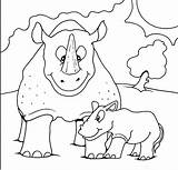 Mewarnai Gambar Hewan Badak Belajar Rhinoceros Anak Rhino Koleksi Gajah Terkait sketch template