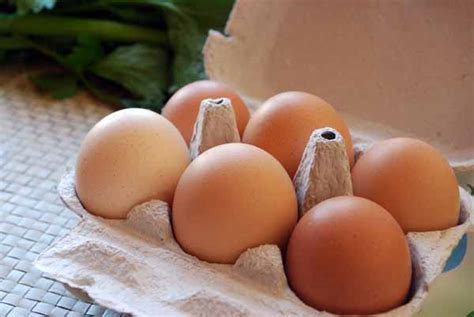 el huevo  los falsos mitos en alimentacion pepekitchen