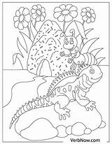 Lizards Lizard Verbnow sketch template