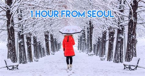 reasons  visit south korea  winter   bff