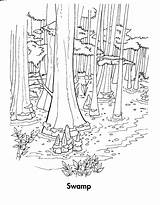 Coloring Pages Forest Habitat Wetlands Sheets Wetland Colouring Color Animals Printable Foret Coloriage Adult Frog Animal Books Sketchite Ecosystem Larger sketch template