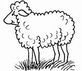 Mouton Maternelle Montagne Berger Dessins Colorier Aid Shaun Environnement sketch template