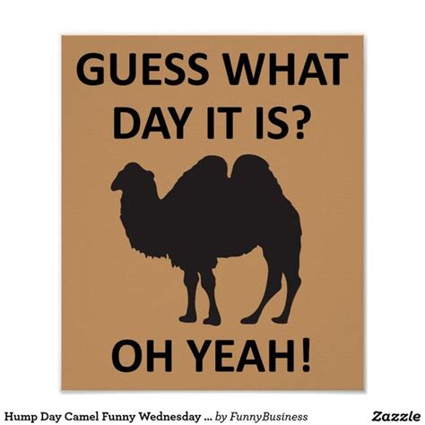Happy Hump Day Meme Images Humor And Funny Pics
