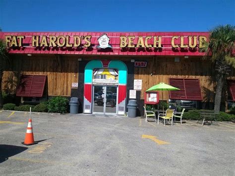 fat harold s beach club explore nmb