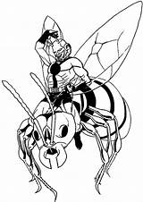 Ant Man Coloring Wasp La Vespa Drawing Pages Printable Riding sketch template