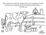 Cow Billygrahamlibrary sketch template