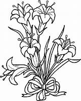Lily Coloring Pages Getdrawings Flowers sketch template