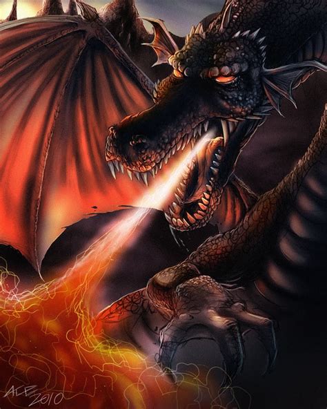 dragons wow fairy dragon fantasy dragon dragon art modern