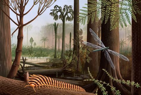 carboniferous period paleontology world
