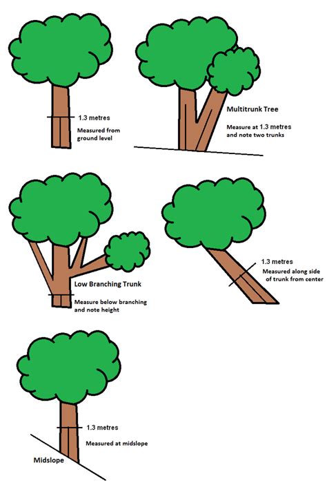 parts   tree diagram drivenheisenberg