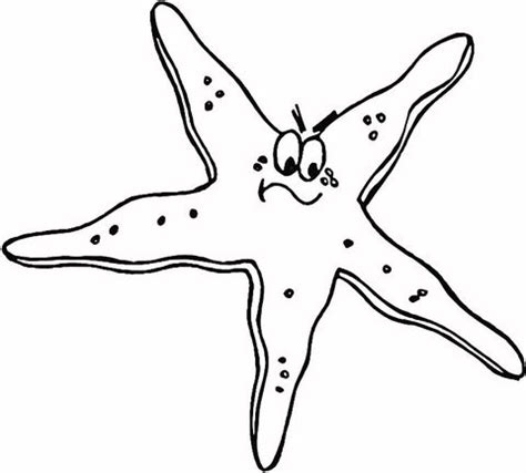 starfish coloring page  printable coloring pages coloring pages