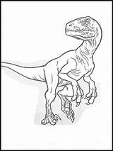 Velociraptor Ausmalbilder Dinosaurier Raptor Dinosaurs Websincloud Ausdrucken sketch template
